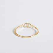 Lesbian Venus Symbols Ring - Interlocking